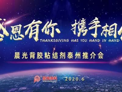 &ldquo;感恩有你 携手相伴&rdquo;，PA视讯游戏背胶粘结剂泰州推介会圆满举办