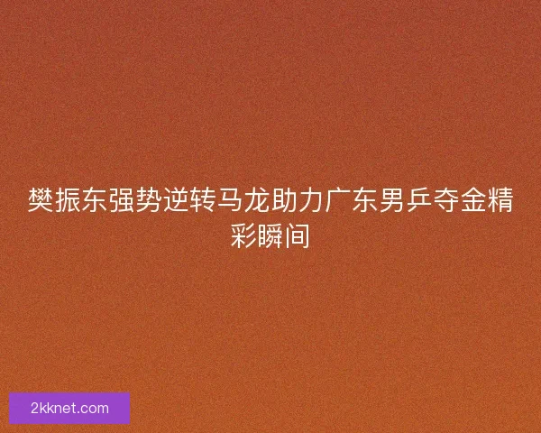 樊振东强势逆转马龙助力广东男乒夺金精彩瞬间